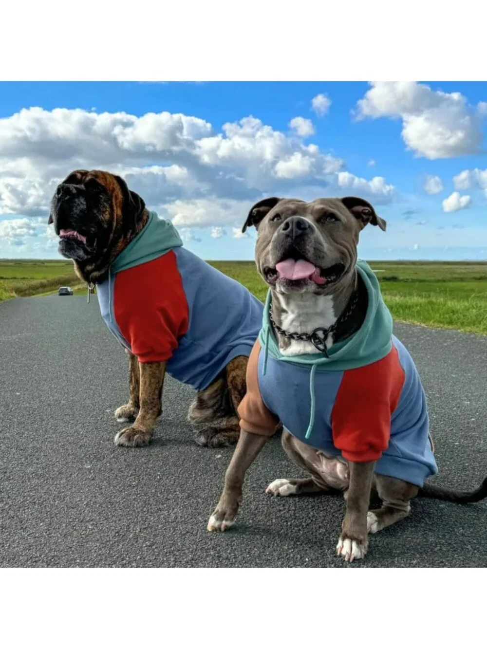 Cozy Buttery-Soft Dog Hoodie Sweatshirt | Stylish Puppy Clothes & Warm Apparel